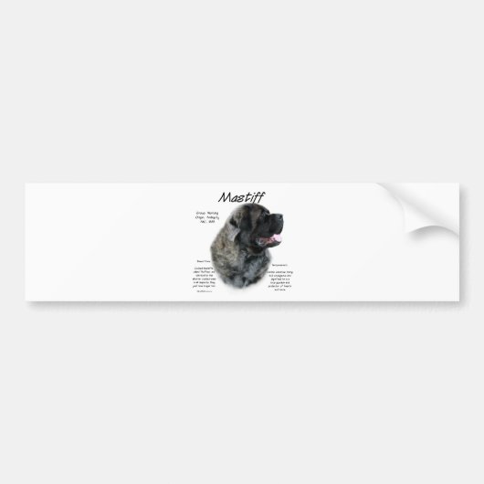 Brindle Fluffy Mastiff Geschiedenis Bumpersticker (Voorkant)