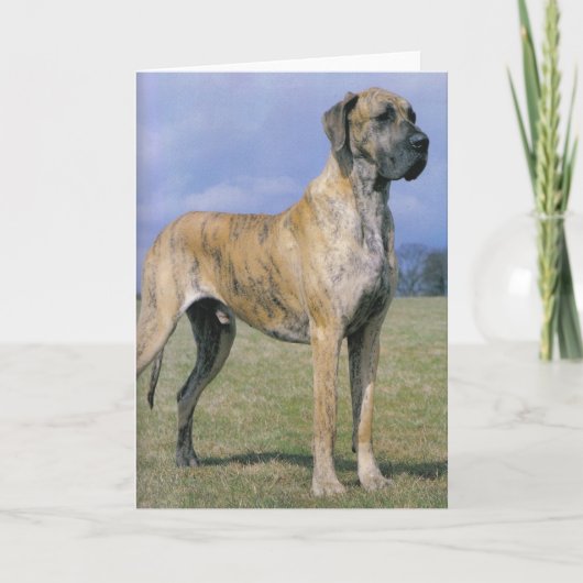 Brindle Great Dane wenskaart Kaart (Voorkant)