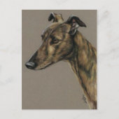 "Brindle Greyhound" Briefkaart van de Dog Art (Voorkant)