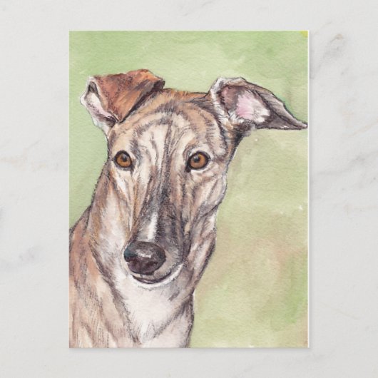 Brindle Greyhound Dog Art Briefkaarten (Voorkant)