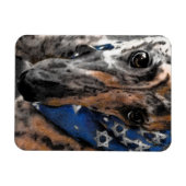 Brindle Greyhound in haar vakantie Bandana Magneet (Horizontaal)