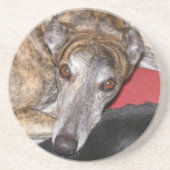 Brindle greyhound zandsteen onderzetter (Voorkant)