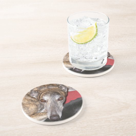 Brindle greyhound zandsteen onderzetter (Zijkant)