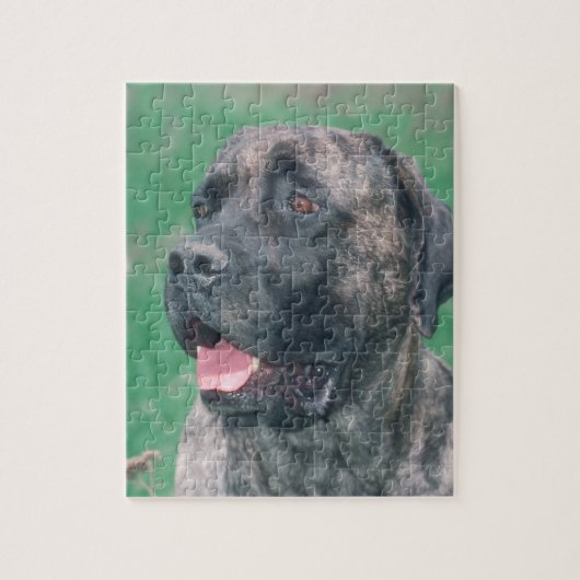 Brindle Masstiff Dog Puzzle Legpuzzel (Verticaal)