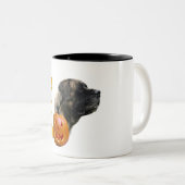 Brindle Mastiff Boo Mok (Voorkant rechts)