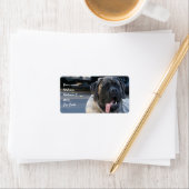 Brindle Mastiff Dog Etiket (Insitu)