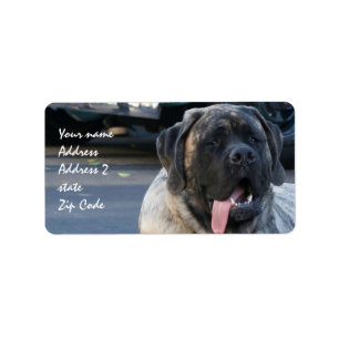 Brindle Mastiff Dog Etiket