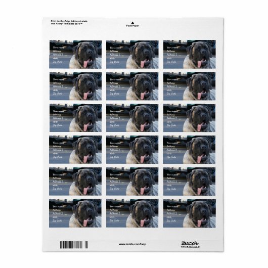 Brindle Mastiff Dog Etiket (Full Sheet)