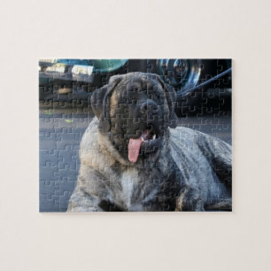 Brindle Mastiff Dog Legpuzzel