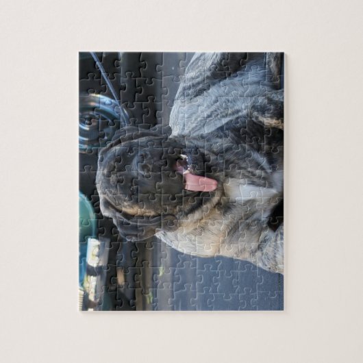 Brindle Mastiff Dog Legpuzzel (Verticaal)