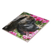 Brindle Mastiff Dog Tegeltje (Zijkant)