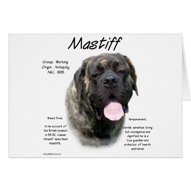 Brindle Mastiff Geschiedenis (Voorkant Horizontaal)