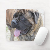 Brindle Mastiff Muismat (Met muis)