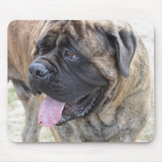 Brindle Mastiff Muismat (Voorkant)