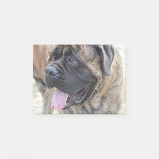 Brindle Mastiff Post-it® Notes (Voorkant)