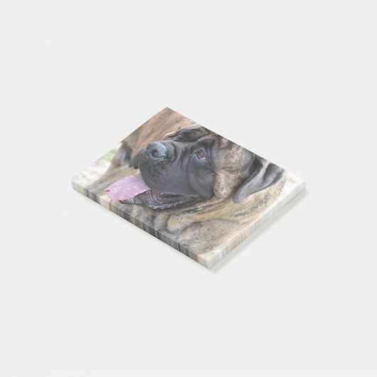 Brindle Mastiff Post-it® Notes (Schuin)