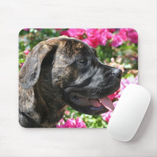 Brindle Mastiff Puppy mousepad Muismat (Met muis)