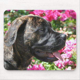 Brindle Mastiff Puppy mousepad Muismat