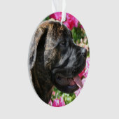 Brindle Mastiff puppy Ornament (voorkant)