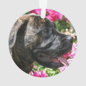 Brindle Mastiff puppy Ornament (achterkant)