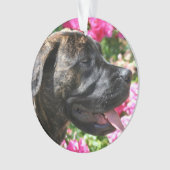 Brindle Mastiff puppy Ornament (voorkant)