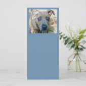 Brindle Pit Bull Puppy van Shirley Taylor (Staand voorkant)