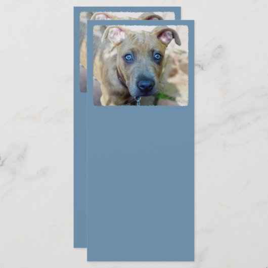 Brindle Pit Bull Puppy van Shirley Taylor (Voorkant / Achterkant)