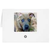 Brindle Pit Bull Puppy van Shirley Taylor (Achterkant Horizontaal)