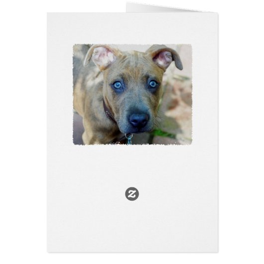 Brindle Pit Bull Puppy van Shirley Taylor (Achterkant)