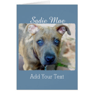 Brindle Pit Bull Puppy van Shirley Taylor