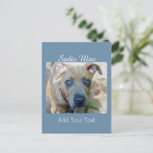 Brindle Pit Bull Puppy van Shirley Taylor Briefkaart (Staand voorkant)