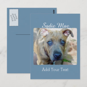 Brindle Pit Bull Puppy van Shirley Taylor Briefkaart