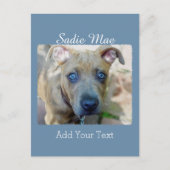 Brindle Pit Bull Puppy van Shirley Taylor Briefkaart (Voorkant)