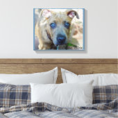 Brindle Pit Bull Puppy van Shirley Taylor Canvas Afdruk (Insitu (Slaapkamer))