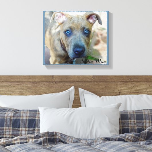 Brindle Pit Bull Puppy van Shirley Taylor Canvas Afdruk (Insitu (Slaapkamer))