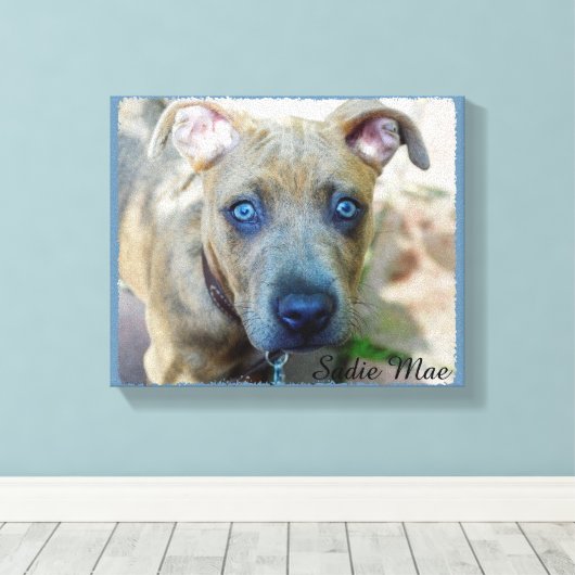 Brindle Pit Bull Puppy van Shirley Taylor Canvas Afdruk (Insitu (Houten vloer))
