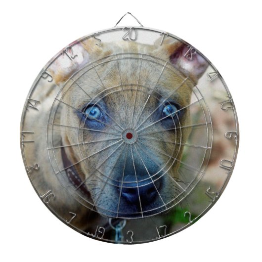 Brindle Pit Bull Puppy van Shirley Taylor Dartbord (Voorkant)