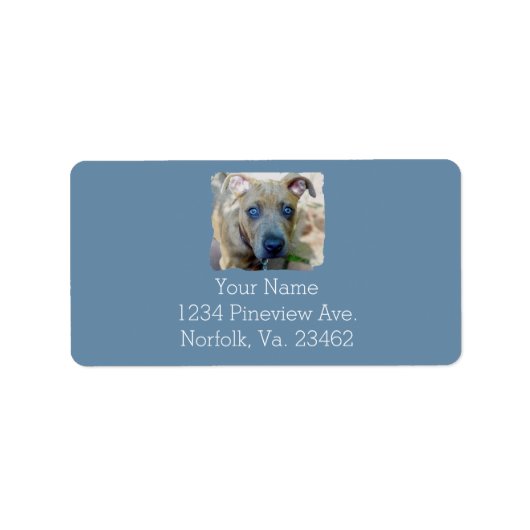 Brindle Pit Bull Puppy van Shirley Taylor Etiket (Voorkant)