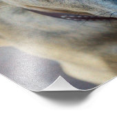 Brindle Pit Bull Puppy van Shirley Taylor Foto Afdruk (Hoek)