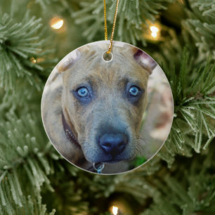 Brindle Pit Bull Puppy van Shirley Taylor Keramisch Ornament