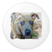 Brindle Pit Bull Puppy van Shirley Taylor Keramische Knop (Voorkant)