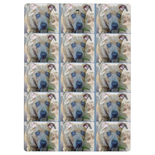 Brindle Pit Bull Puppy van Shirley Taylor Klembord (Achterkant)