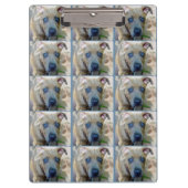 Brindle Pit Bull Puppy van Shirley Taylor Klembord (Voorkant)