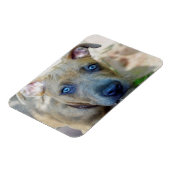 Brindle Pit Bull Puppy van Shirley Taylor Magneet (Linkerzijde)