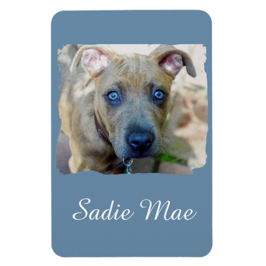 Brindle Pit Bull Puppy van Shirley Taylor Magneet (Verticaal)