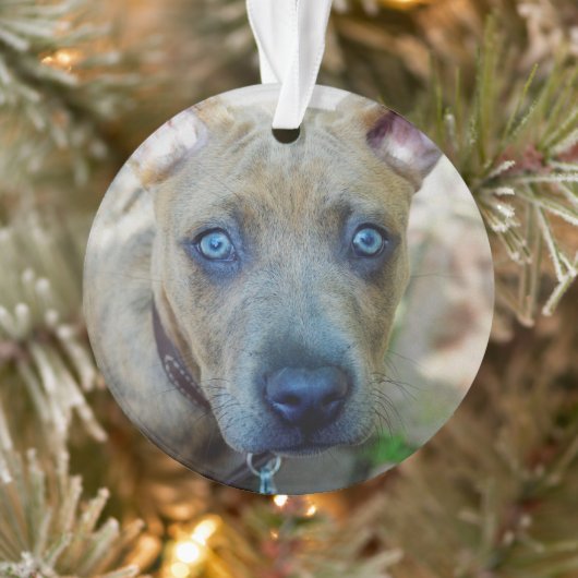 Brindle Pit Bull Puppy van Shirley Taylor Ornament (Boom)