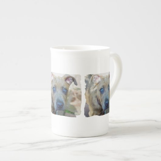 Brindle Pit Bull Puppy van Shirley Taylor Porselein Kop (Voorkant rechts)