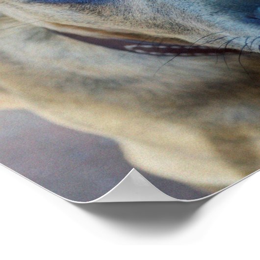 Brindle Pit Bull Puppy van Shirley Taylor Poster (Hoek)