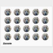 Brindle Pit Bull Puppy van Shirley Taylor Ronde Sticker (Vel)