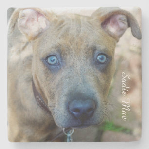 Brindle Pit Bull Puppy van Shirley Taylor Stenen Onderzetter